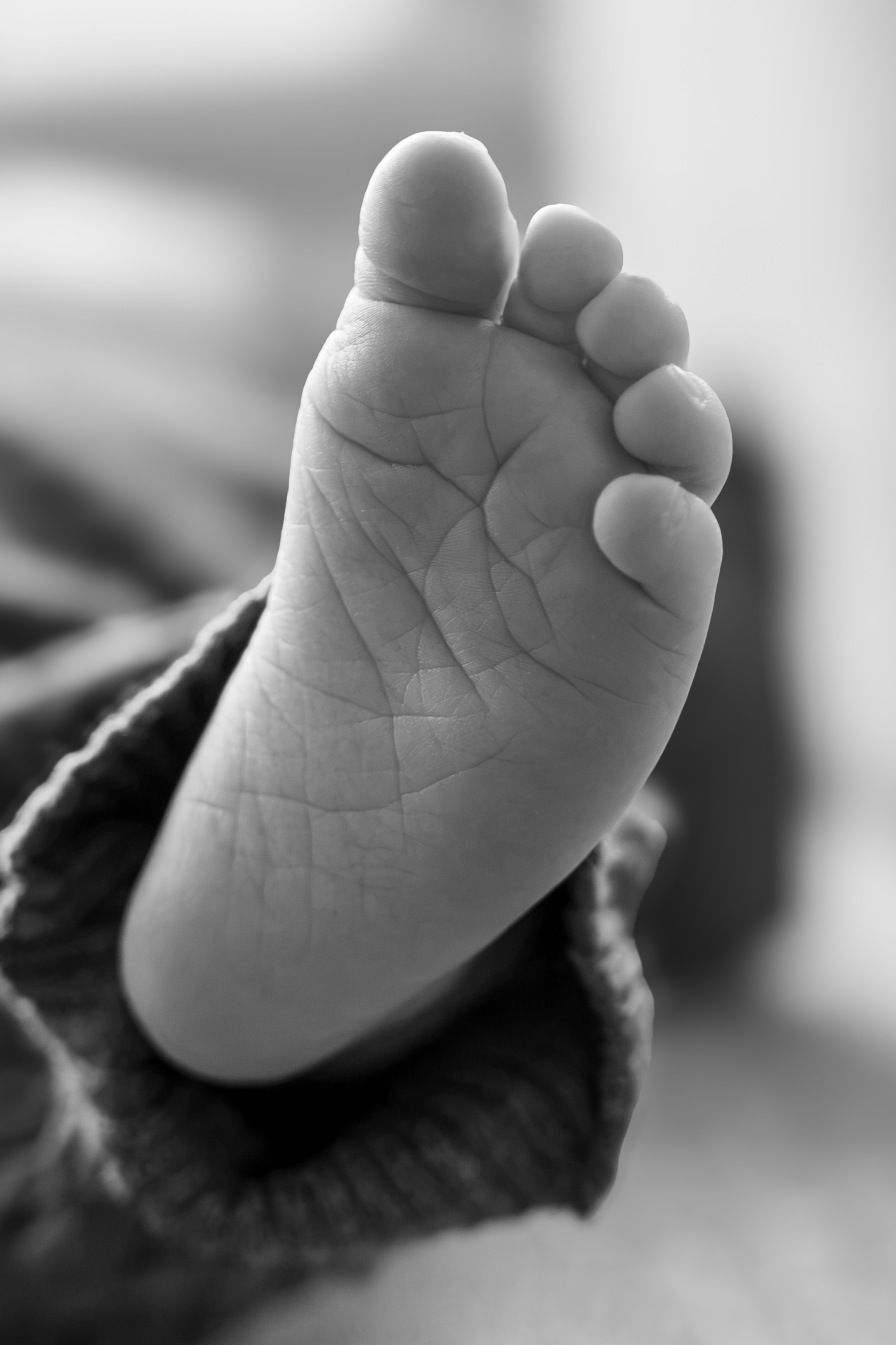 Newborn