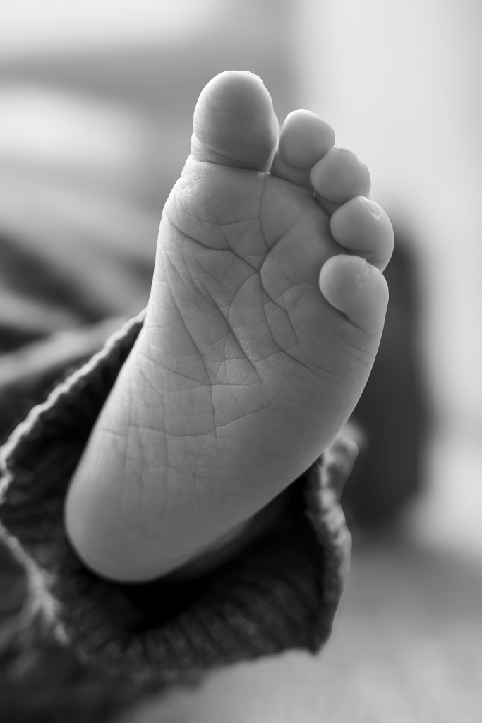 Newborn shoot