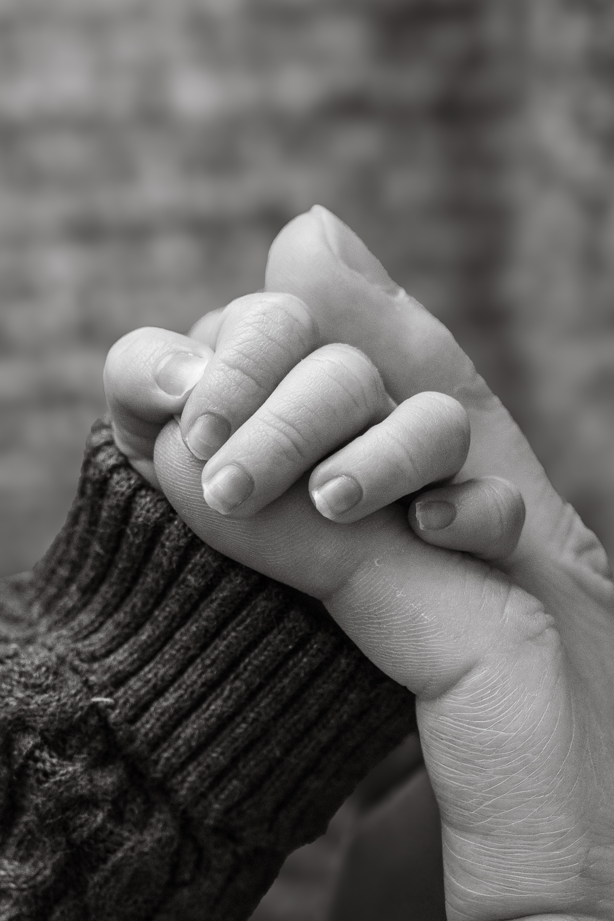 Newborn